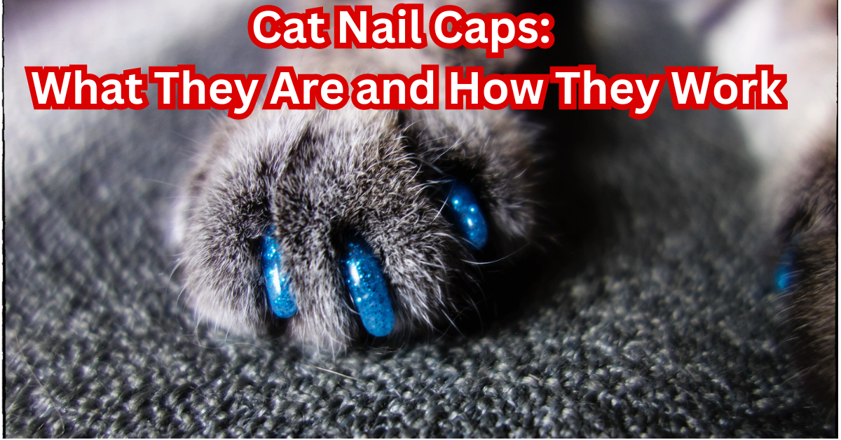 Cat Nail Caps