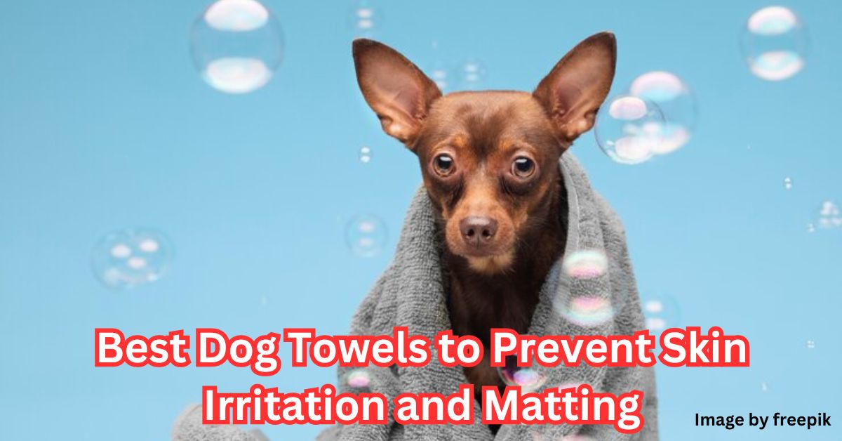 Best Dog Towel